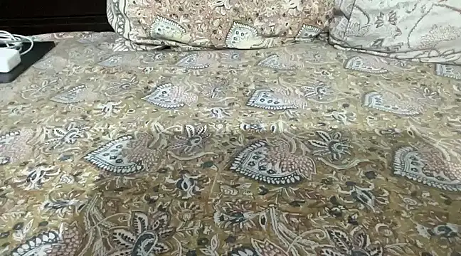 Snapshot of Greekartsguru chatting on January 2025 07:31:02 PM Greekartsguru online show from January 2025 07:31:02 PM