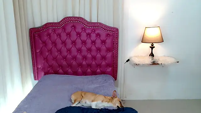 DreamLADYBOY online show from February 2026 01:03:02 AM