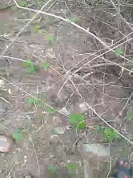 priyabhabhi 99 online show from July 2026 01:22:01 AM