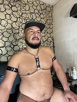 the master foal  online show from April 2026 07:18:01 AM