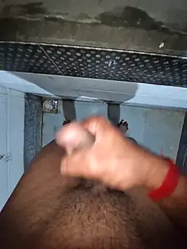 Snapshot of breejs chatting on February 2025 05:19:02 AM breejs online show from February 2025 05:19:02 AM