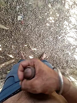 Snapshot of breejs chatting on November 2025 08:25:02 AM breejs online show from November 2025 08:25:02 AM