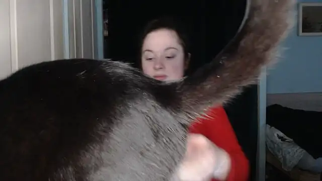 ryhhnnagold99 online show from February 2026 02:53:02 PM