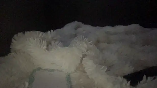 lyna sweet online show from April 2026 10:34:02 PM