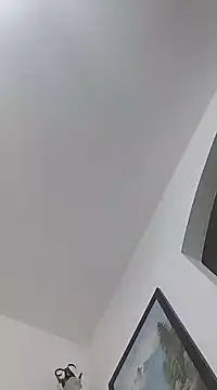 Snapshot of manuel9428 chatting on January 2025 08:54:01 PM manuel9428 online show from January 2025 08:54:01 PM