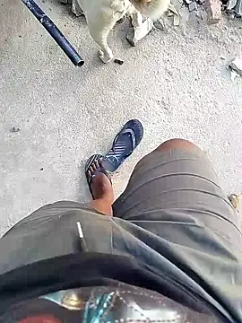 TitularAdaption online show from February 2026 06:53:01 AM