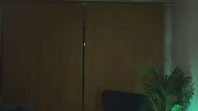 Snapshot of kevin-park chatting on November 2025 06:03:02 PM kevin-park online show from November 2025 06:03:02 PM