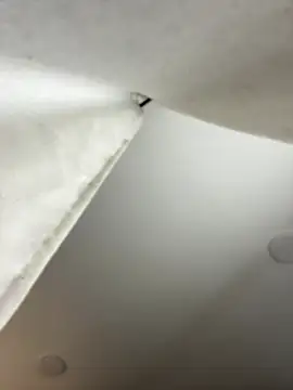 Snapshot of GeorginaJones chatting on January 2025 02:25:01 AM GeorginaJones online show from January 2025 02:25:01 AM