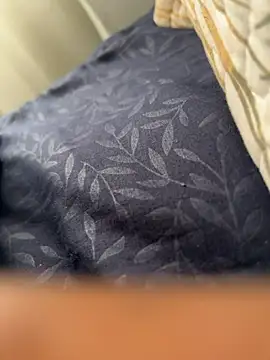 ROBOSTALLION online show from April 2026 11:40:02 AM