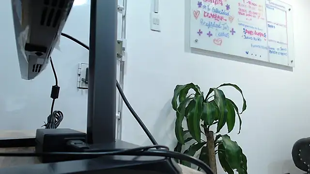  kishy alec online show from February 2025 01:22:01 AM