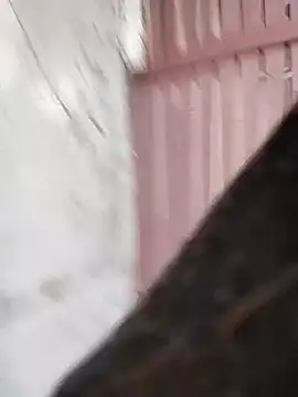 Daddy hook online show from December 2024 03:11:02 PM