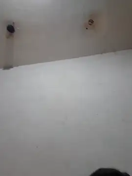 Calamaco07 online show from February 2026 06:23:01 AM