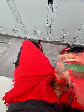 987654Alf online show from November 2025 10:16:01 AM