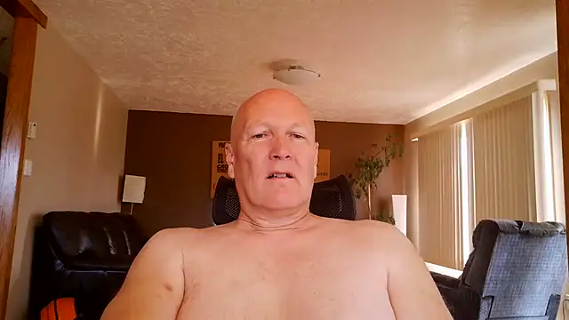 Snapshot of BasicAnt chatting on June 2026 02:34:01 PM BasicAnt online show from June 2026 02:34:01 PM