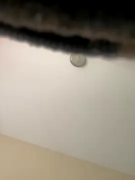 Snapshot of Iced_cloudz chatting on December 2025 03:17:01 PM Iced cloudz online show from December 2025 03:17:01 PM