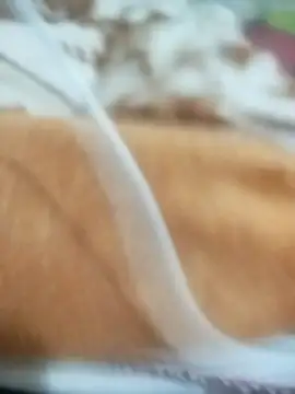 naghmi12 online show from April 2026 05:51:01 PM