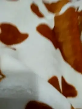 naghmi12 online show from April 2026 01:04:01 PM