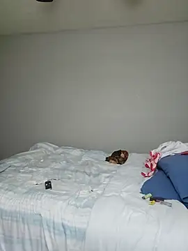 oliviaprettypussy online show from March 2026 05:45:01 AM