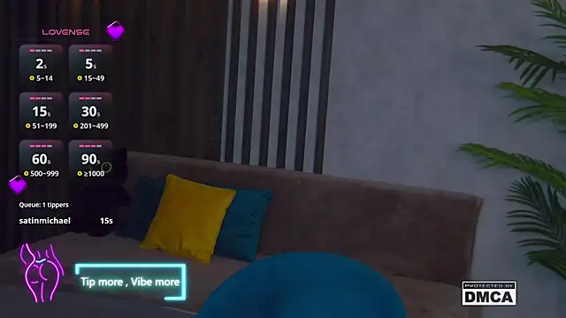 Snapshot of Holl1Would chatting on February 2025 07:38:02 PM Holl1Would online show from February 2025 07:38:02 PM