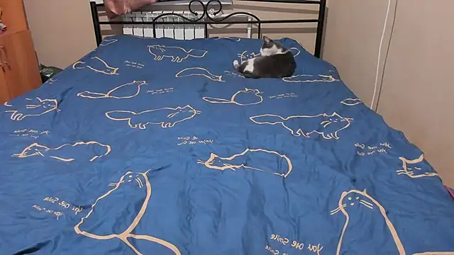 Snapshot of eva_zero chatting on December 2025 03:07:01 PM eva zero online show from December 2025 03:07:01 PM