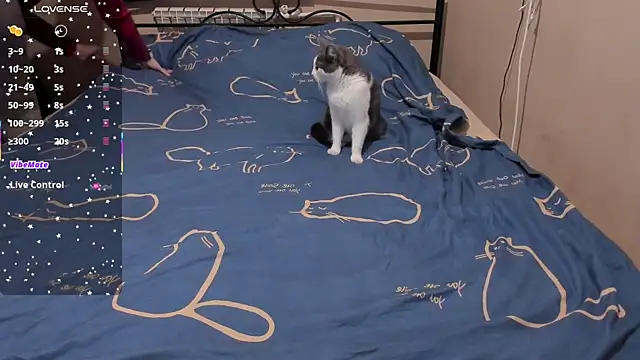 eva zero online show from March 2026 02:01:01 PM