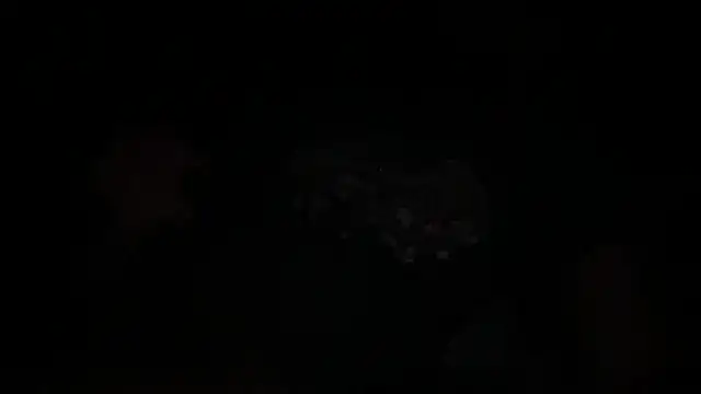 waveonce- online show from December 2025 07:36:02 AM