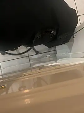 Snapshot of dingoding chatting on January 2025 08:13:01 AM dingoding online show from January 2025 08:13:01 AM