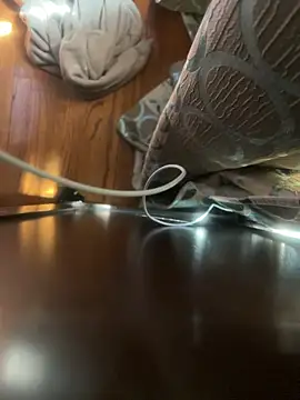 dingoding online show from April 2026 03:02:01 PM