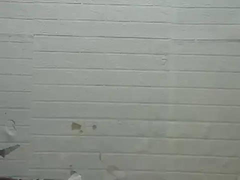 Snapshot of hotsexylyn chatting on December 2024 11:05:02 AM hotsexylyn online show from December 2024 11:05:02 AM