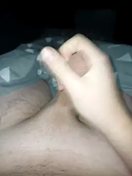 Snapshot of bertvanboere chatting on January 2025 11:22:02 PM bertvanboere online show from January 2025 11:22:02 PM