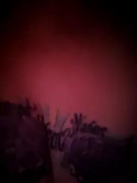 julimonroe online show from February 2026 10:22:02 AM