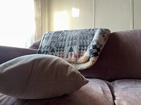 Snapshot of dk2995 chatting on March 2025 02:56:02 PM dk2995 online show from March 2025 02:56:02 PM