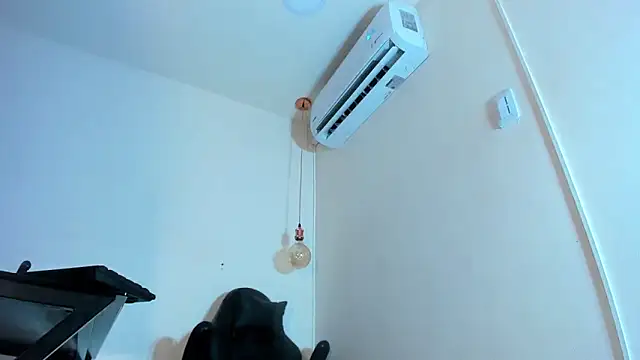 Snapshot of xGenesis_Miller_ chatting on January 2025 11:55:02 PM xGenesis Miller  online show from January 2025 11:55:02 PM