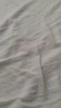 Purple Flamingo online show from February 2026 02:33:01 PM