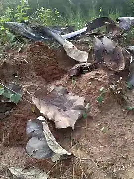 Snapshot of Gopal1243 chatting on February 2025 12:04:02 PM Gopal1243 online show from February 2025 12:04:02 PM