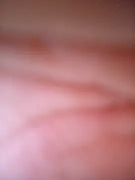 Snapshot of CASADASIGILO2 chatting on November 2025 11:03:01 PM CASADASIGILO2 online show from November 2025 11:03:01 PM