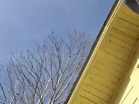 highstepper500 online show from December 2024 11:10:01 PM