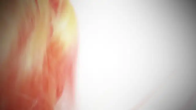 MayaAkashova online show from November 2025 05:04:02 PM