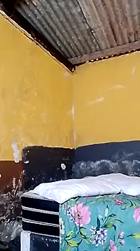 LULE37587001 online show from March 2026 01:18:02 PM