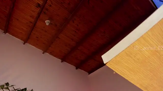 annie barozzi online show from January 2025 04:39:01 PM