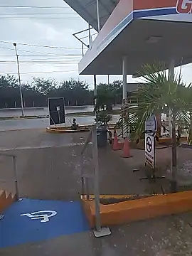 sagrado 1989 online show from January 2026 10:04:01 PM