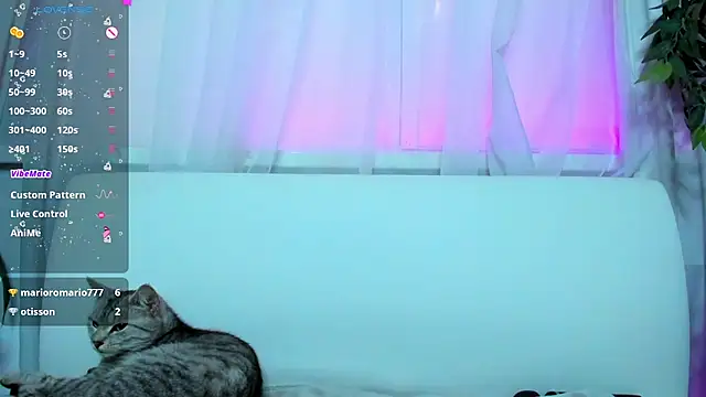 Snapshot of Bell_a_mi_ chatting on March 2025 05:40:02 AM Bell a mi online show from March 2025 05:40:02 AM