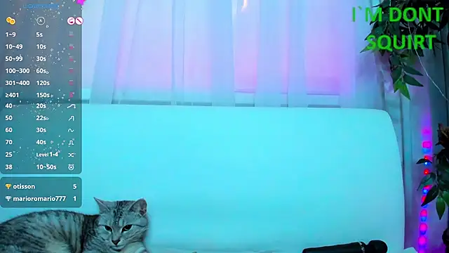 Snapshot of Bell_a_mi_ chatting on March 2025 05:59:02 AM Bell a mi online show from March 2025 05:59:02 AM