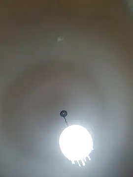 Snapshot of White_rabbit_ chatting on February 2025 07:16:01 PM White rabbit  online show from February 2025 07:16:01 PM