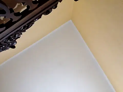 White rabbit  online show from October 2025 10:00:02 PM