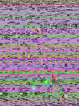 sahorix1 online show from February 2026 03:56:02 PM