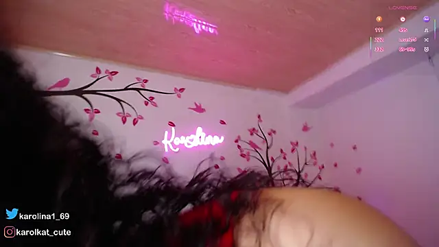 Snapshot of Karolina_1 chatting on November 2025 12:48:02 PM Karolina 1 online show from November 2025 12:48:02 PM