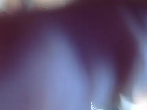 OSIRlS online show from December 2024 09:37:01 PM