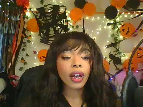 Anaconda2350 online show from October 2025 11:55:01 AM