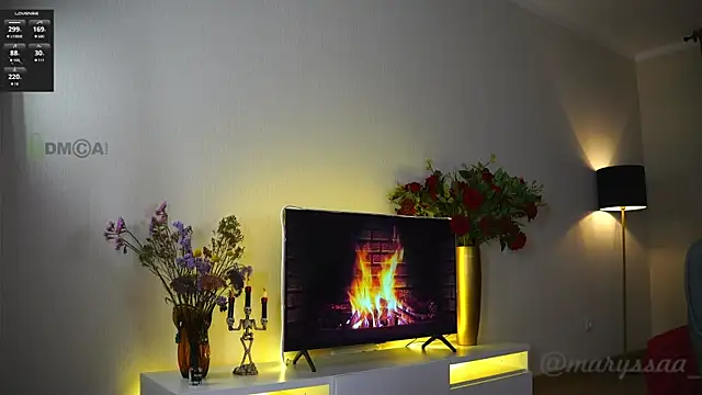 Snapshot of maryssaa_ chatting on November 2025 05:03:01 PM maryssaa online show from November 2025 05:03:01 PM